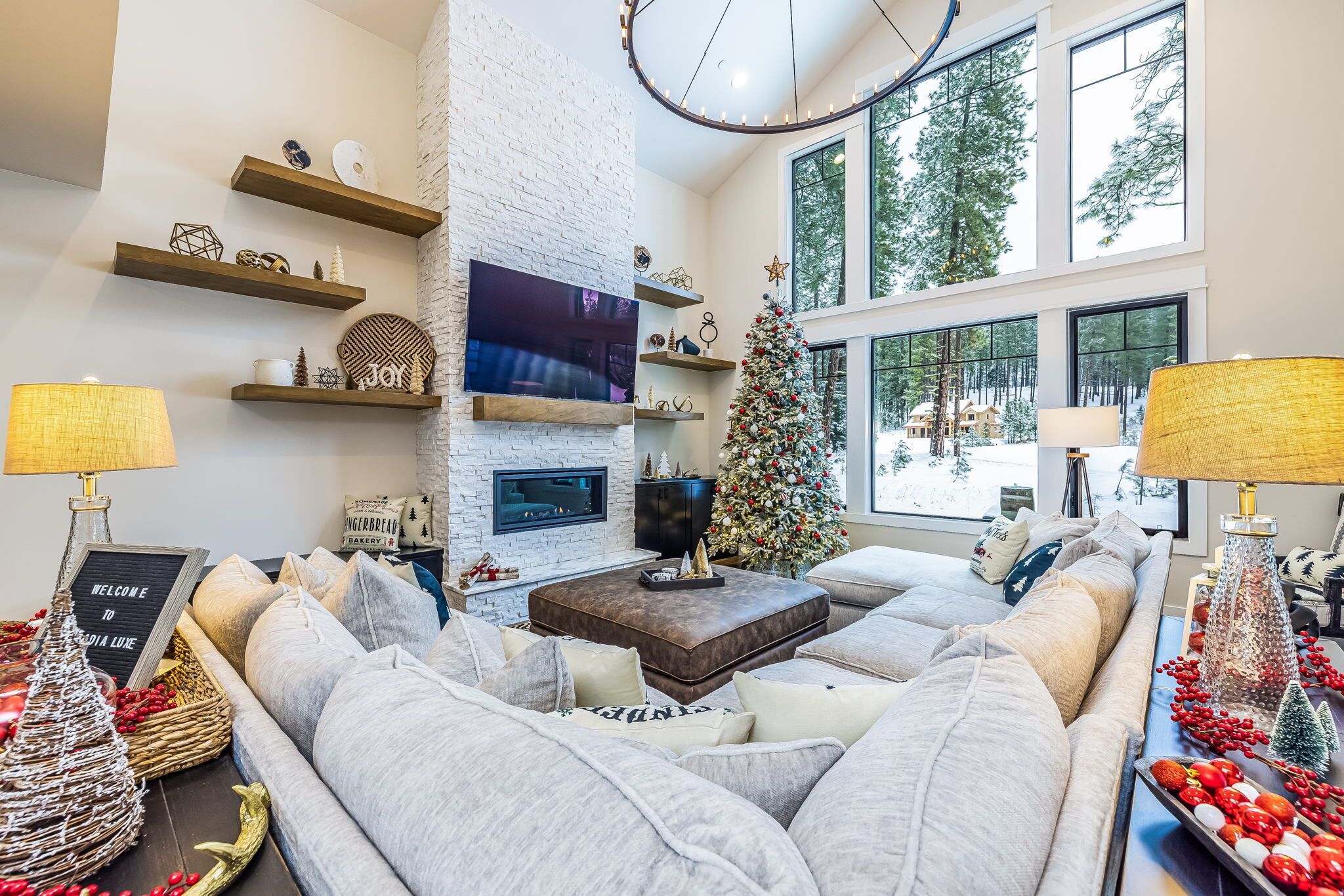 TV connectée, cheminée, jeux vidéo, lecteur de DVD