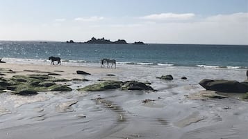 Plage à proximité