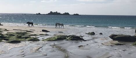 Vlak bij het strand