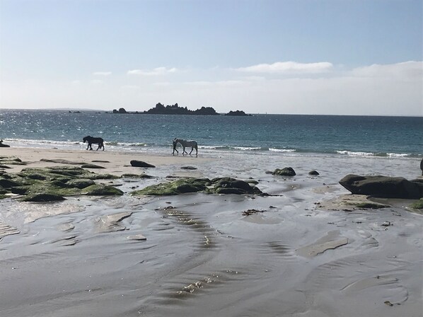 Plage à proximité