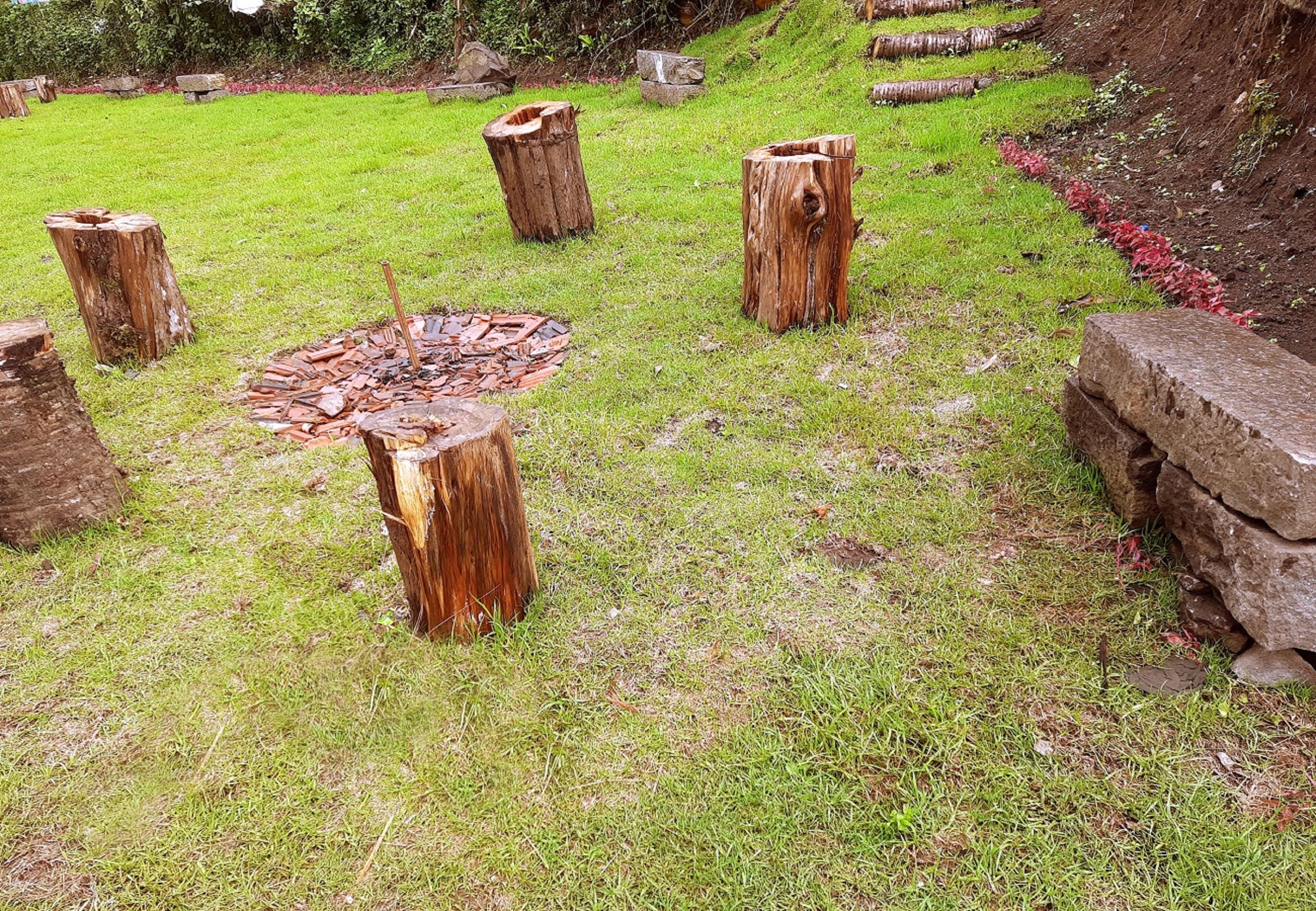 Un espacio al aire libre con césped, varios troncos de madera y un pozo para fuego.