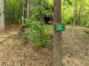 A forested area with a wooden sign reading 'Welcome to Dancing Bear.'