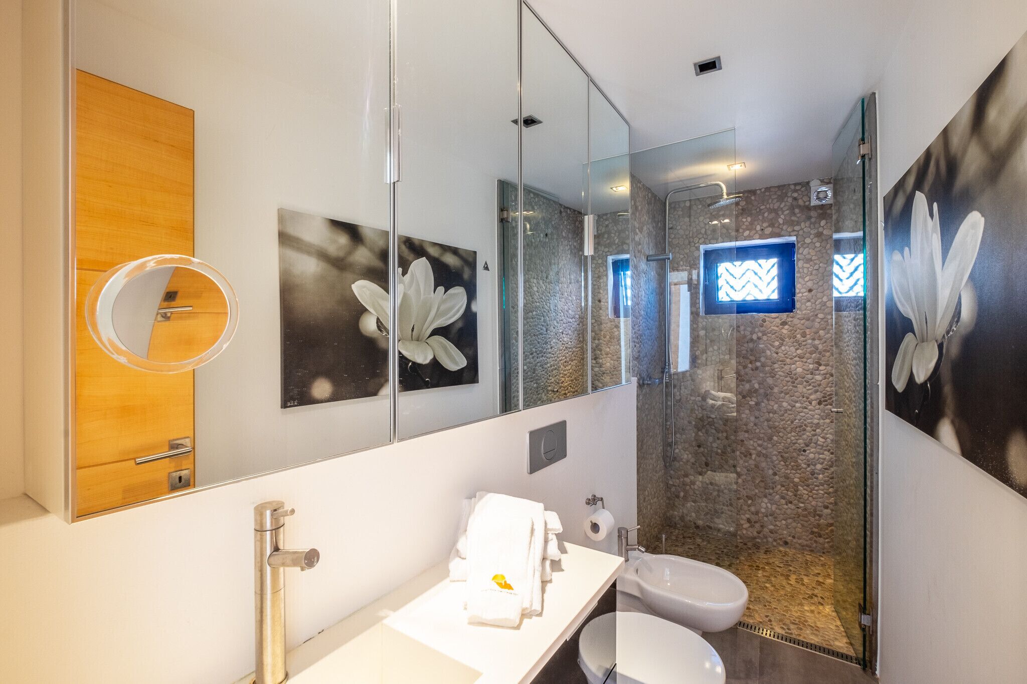 Bathtub, hair dryer, soap, shampoo