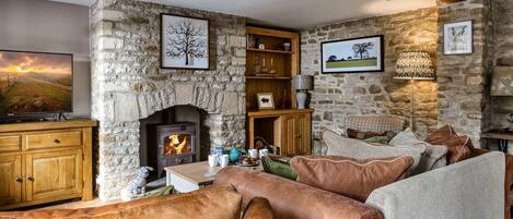 Télévision, cheminée, lecteur de DVD