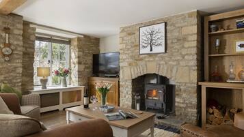 Télévision, cheminée, lecteur de DVD