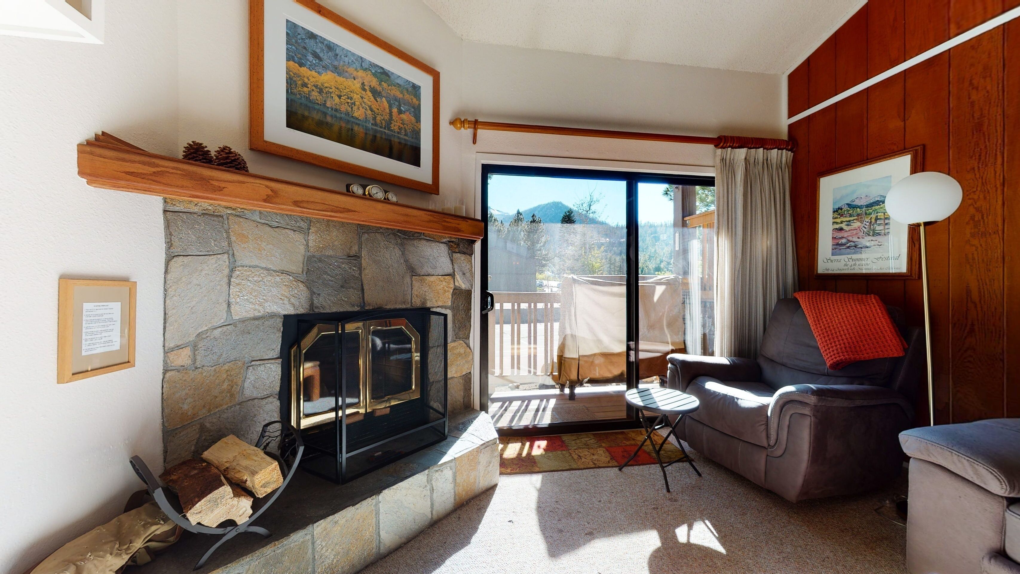 TV, fireplace, DVD player