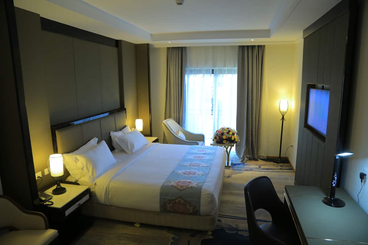 Executive Room | Minibar, desk, laptop workspace, free WiFi