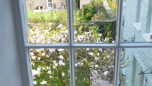Una ventana con vistas a un jardín y una estantería llena de libros.