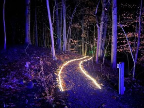 Terrain de l’hébergement 