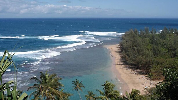 A beach with waves, a sandy shore, and dense vegetation. - Pono Kai Resort - 1 Bedroom (Kapaa)