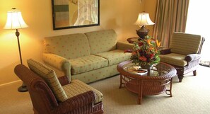 Televisio, takka, DVD-soitin, stereot