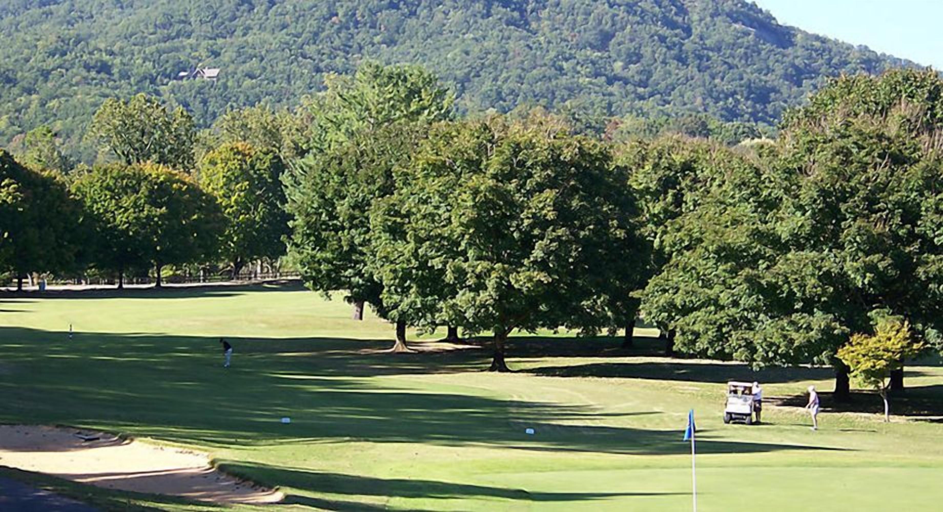 A golf course with trees, a flag, and a golf cart.