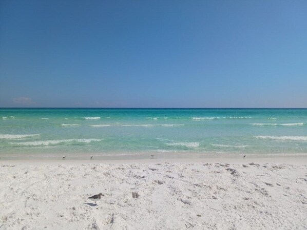 Beach - Club Wyndham Beach Street Cottages™ - 1 Bedroom (Destin)