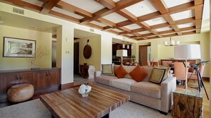 電視、壁爐、電子遊戲、音樂庫