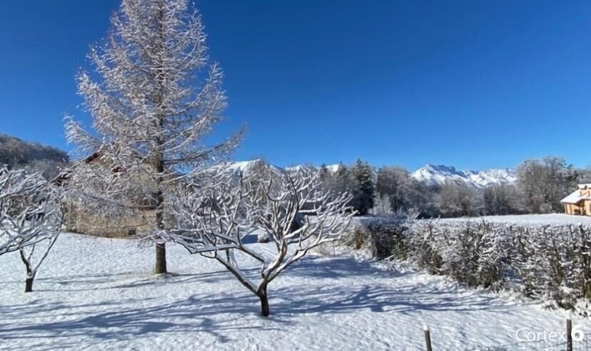Imagen de perfil del propietario o de la propietaria