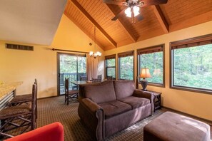 TV, fireplace, DVD player, table tennis