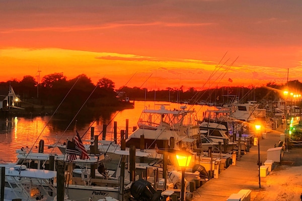 Marina