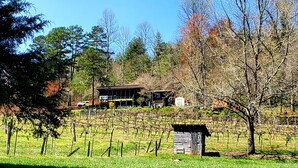 Viñedo con un edificio rústico de madera, un cobertizo pequeño y un área cercada.