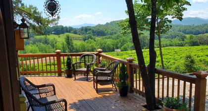 Mountain view cabin, fully remodeled, huge screen in porch with panoramic view.
