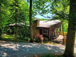A rustic cabin with a stone chimney, surrounded by dense forest and a gravel path. - Mountain view cabin, fully remodeled, huge screen in porch with panoramic view. (Franklin)