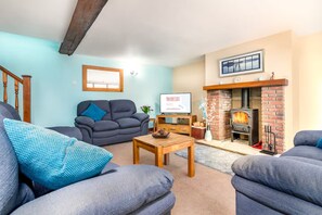Smart-TV, Kamin