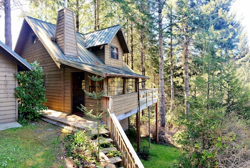 Charming Woodland Cabin in a Coastal Forest Above the Fog