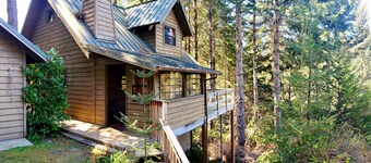 Charming Woodland Cabin in a Coastal Forest Above the Fog