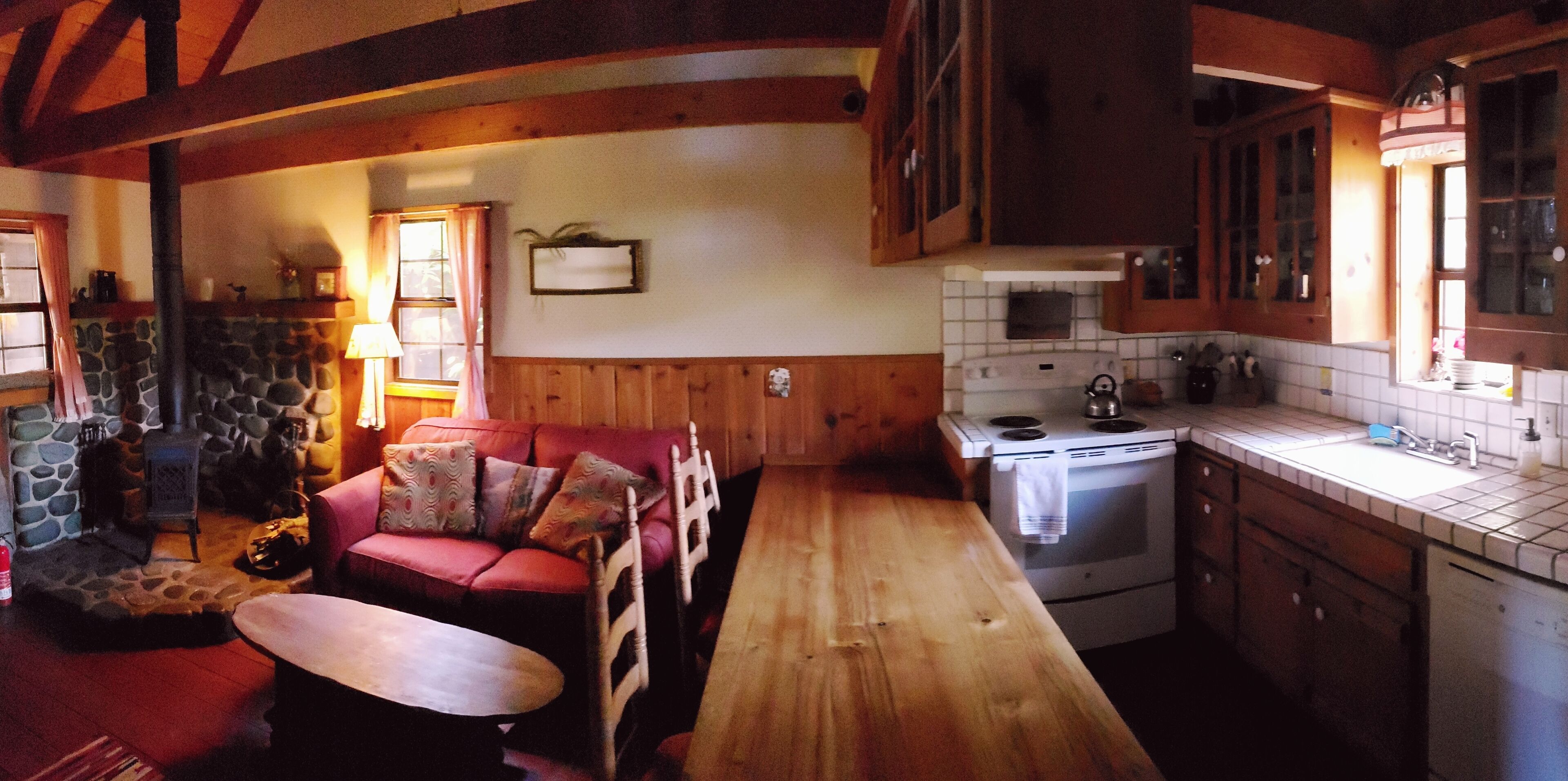 Charming Woodland Cabin in a Coastal Forest Above the Fog