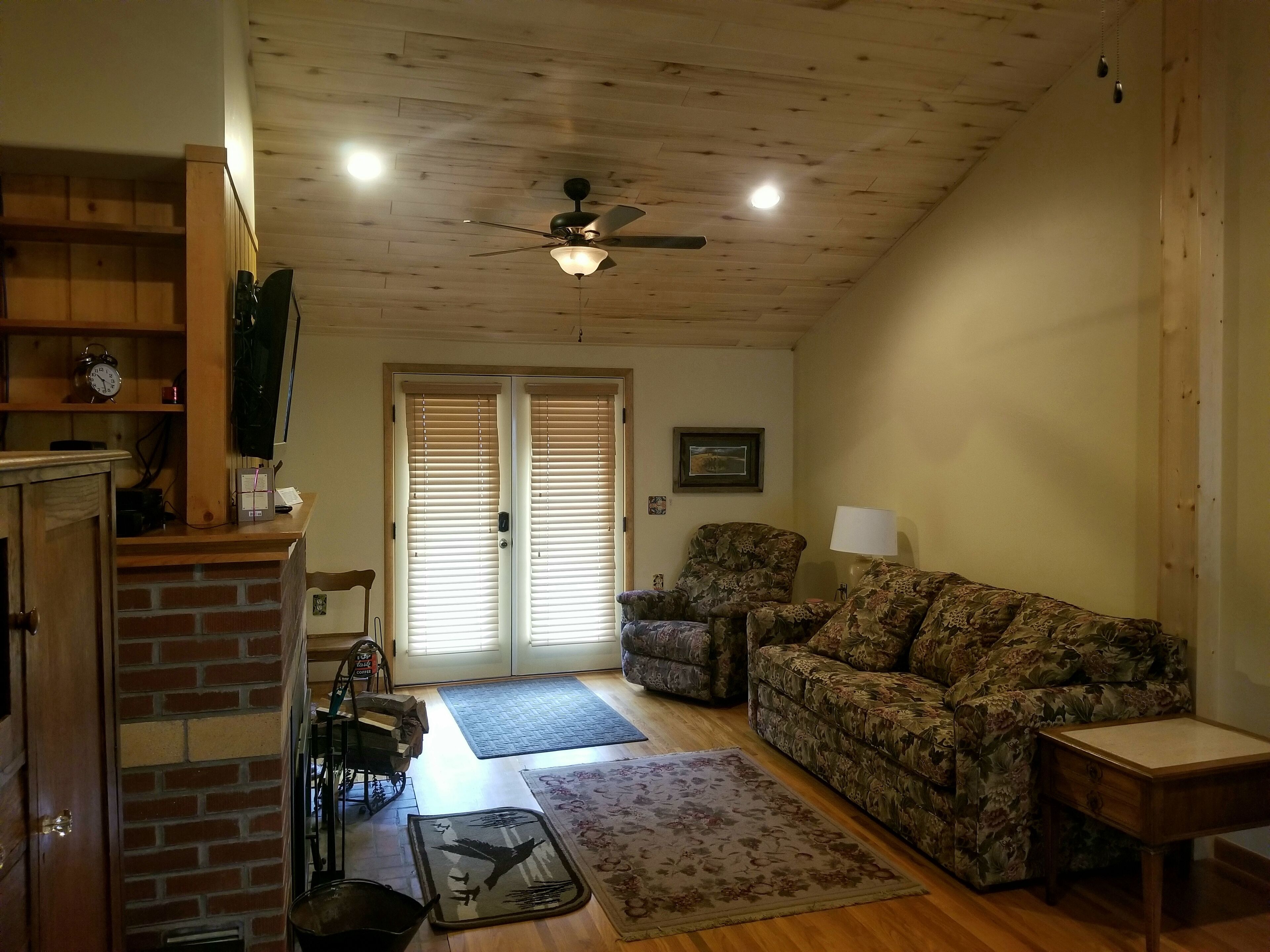 Aspen Grove on the north fork of the creek in Chalk Creek Canyon