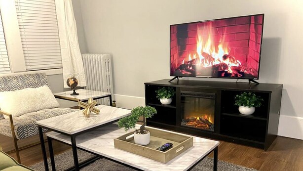 A living room with a TV, fireplace, sofa, coffee table, and two potted plants. - NEW! Cozy Stay in Newly Decorated Apt, in Midtown! (Detroit)