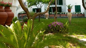A courtyard with potted plants, a palm tree, and a building with green shutters.