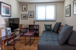 Smart TV, DVD player, books, video library