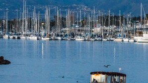 A marina with numerous sailboats docked.