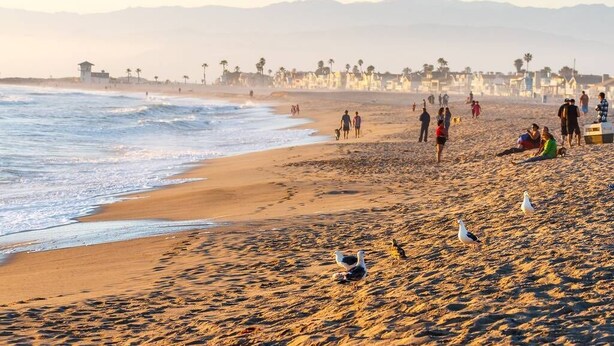 A beach with people walking and sitting, seagulls on the sand, and a coastal town in the background.