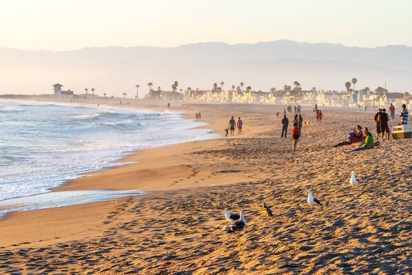 On the beach, sun-loungers, beach towels