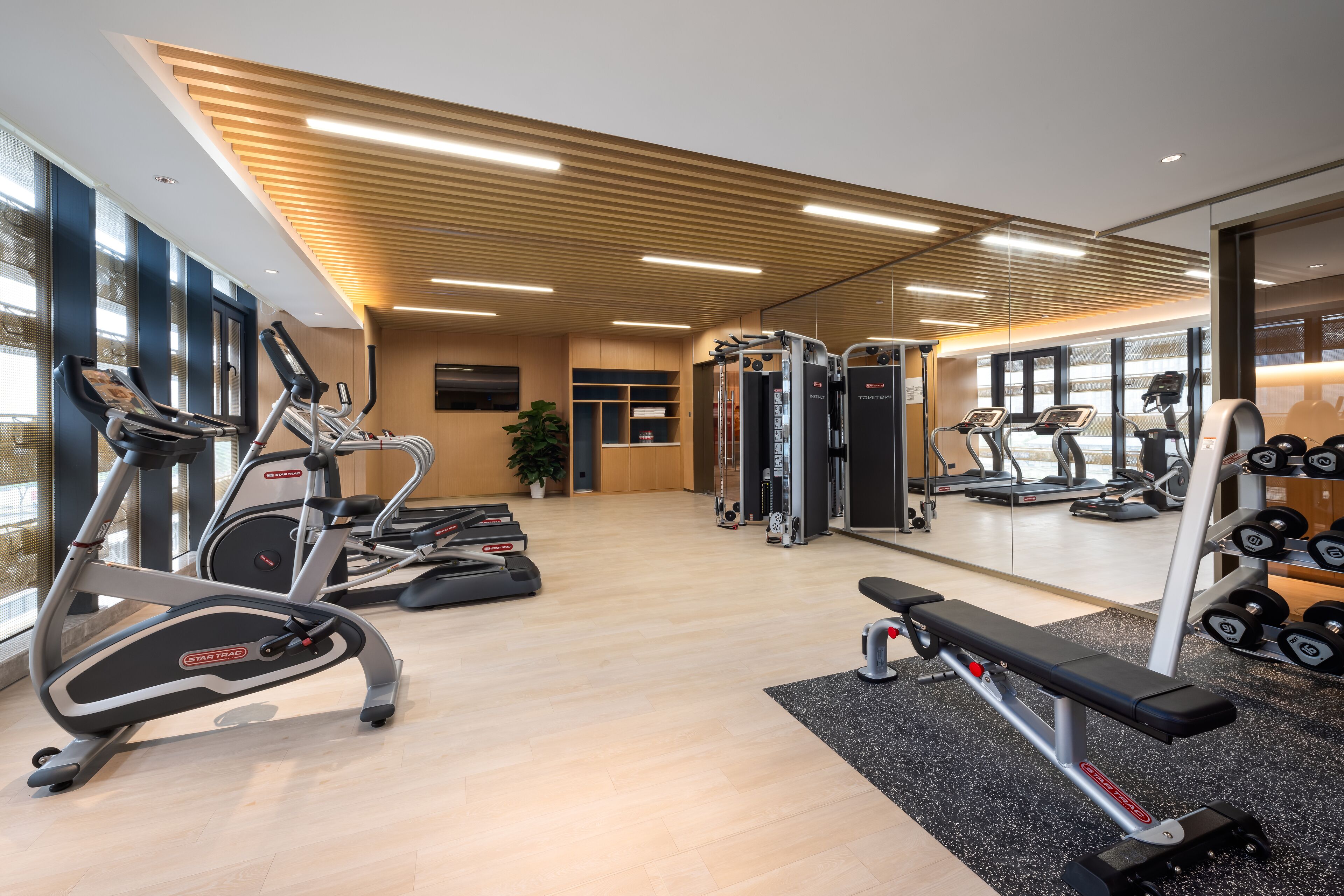 Un gimnasio moderno con máquinas de cardio, pesas libres y una banca.