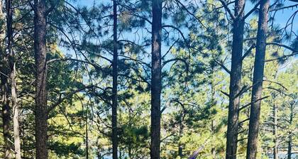 Lakefrnt/Private Recreational Cabin/Views/2Decks/2Kayaks/Fmly/Pet/30mins2Durango