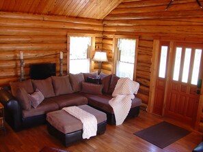 TV connectée, cheminée, lecteur de DVD, livres