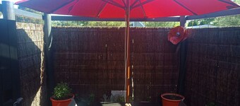 Studio Solaris - Cute & Cosy