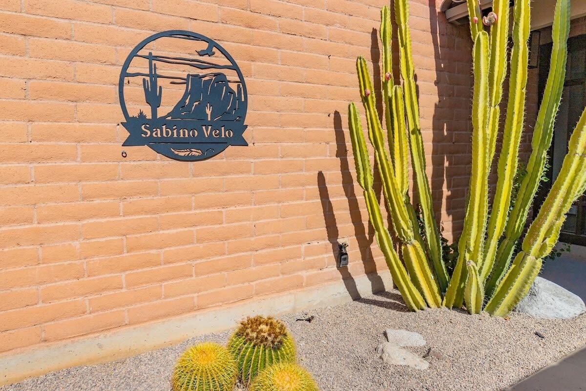 A brick wall with a logo for 'Sabino Velo' and a cactus plant.