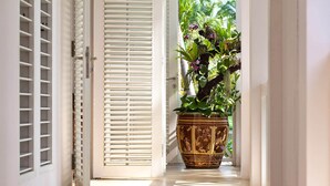 Un pasillo con una planta grande en maceta y una puerta con contraventanas blancas.