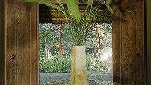 A glass-top table with a marble vase containing green plants, set against a wooden backdrop with a view of greenery outside. - Luxury Hillside Retreat with Private Pool – Bali Villa 1049 (Bali)