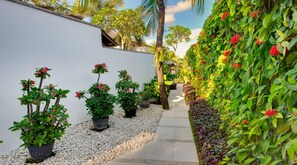 A narrow pathway flanked by potted plants and a white wall, leading to a building with a sloped roof.