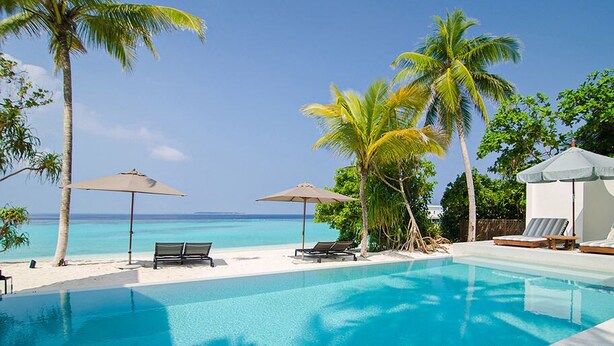 Un espace aménagé au bord de la piscine, avec des chaises longues et des parasols, entouré de palmiers et offrant une vue sur l’océan.