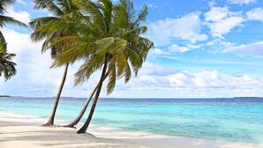 Una playa con aguas turquesas cristalinas, arena blanca y palmeras.