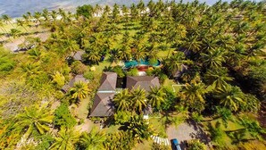 Luchtbeeld van een tropisch resort met meerdere bungalows, omringd door weelderige palmbomen, een zwembad en uitzicht op de oceaan.