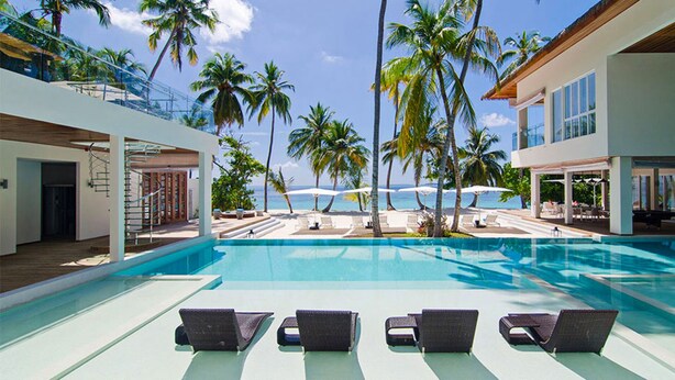 Un espace piscine agrémenté de chaises longues et de palmiers, avec vue sur la plage.