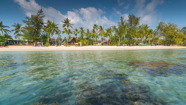 Una playa con aguas turquesas cristalinas, palmeras y cabañas de playa.