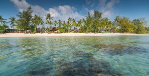 A beach with clear water, palm trees, and beach huts.
