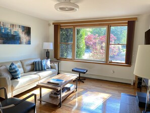 Smart TV, fireplace, books, offices